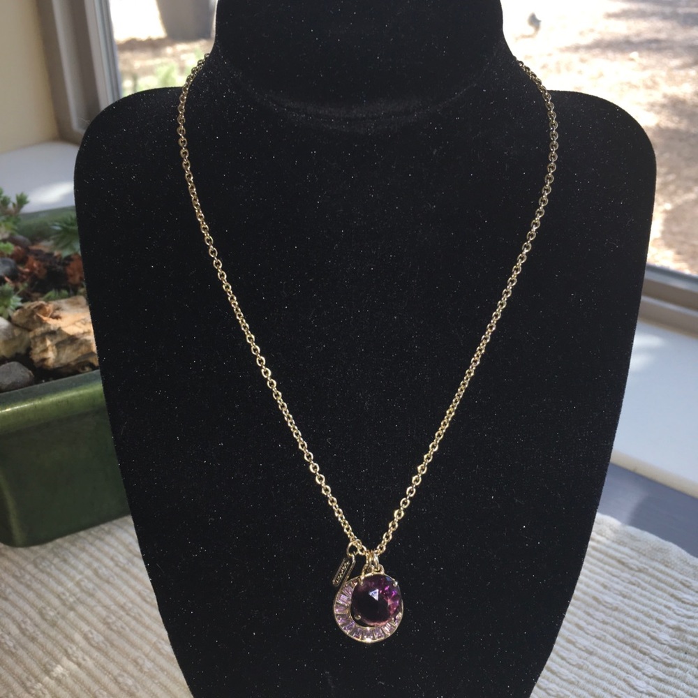 Coach MultiCharm Necklace